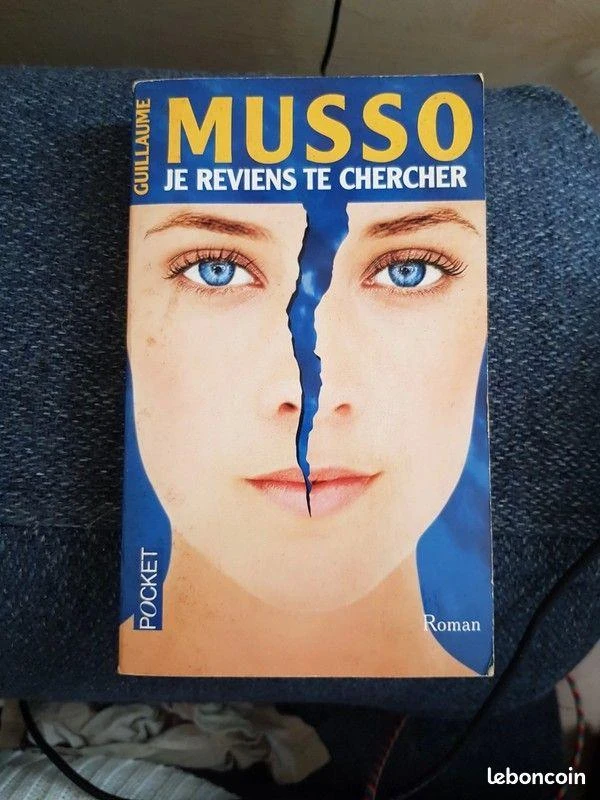 Guillaume Musso je reviens te chercher